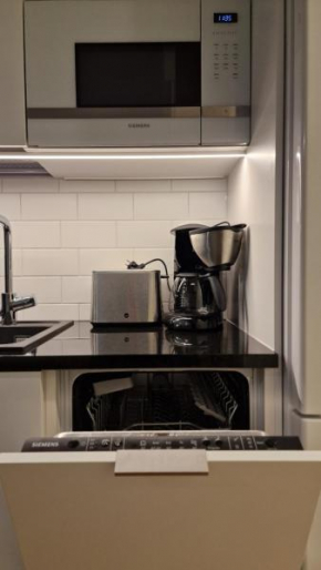 Comfortable apartment in the heart of Turku, Turku